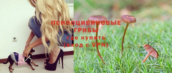 синтетический гашиш Протвино
